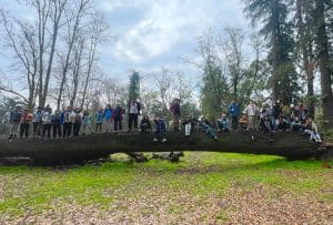 valores y campamento scout