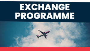 programa de intercambio