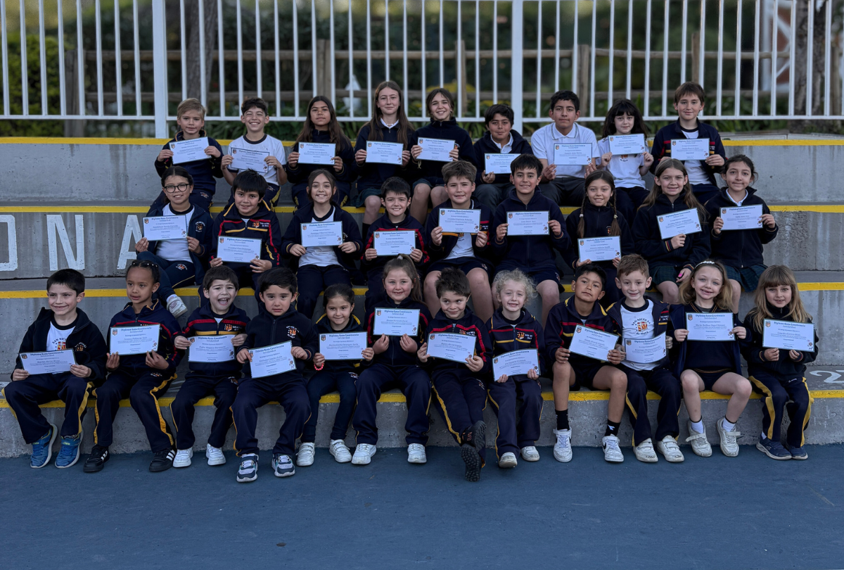 reconocimiento a la solidaridad